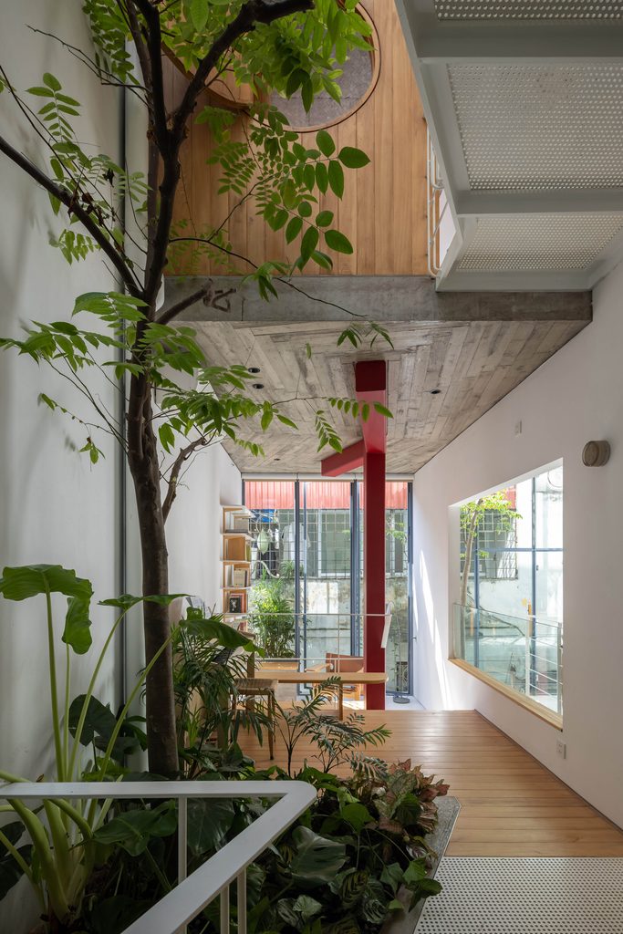 Interior greenery beside the red steel column and timber floor