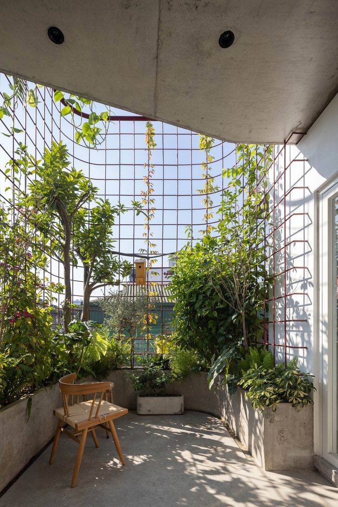Roof terrace with greenery and a curved steel trellis