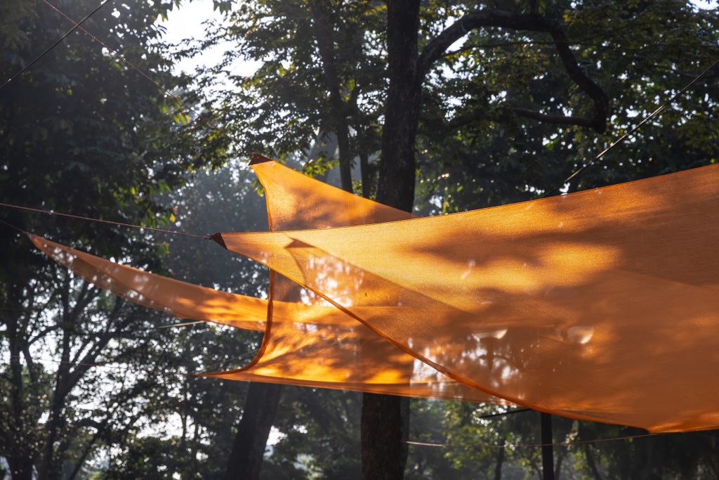 Canopies seen against the tree crowns