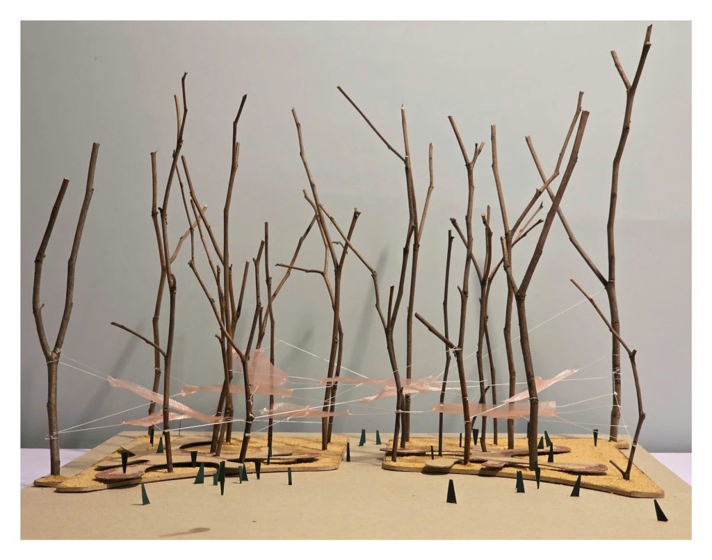 Model of bare branches as trees