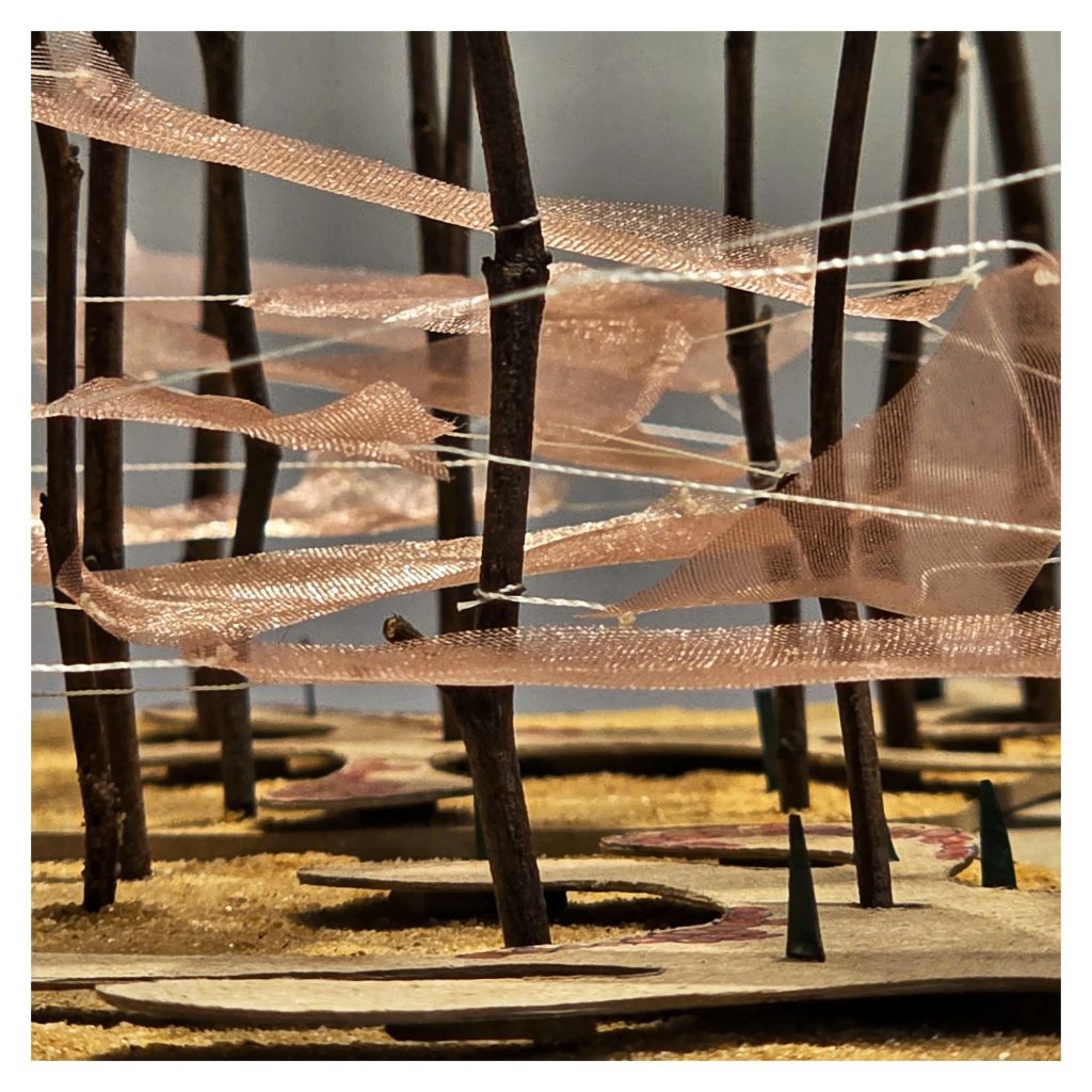 Model with tracing paper canopies between branches