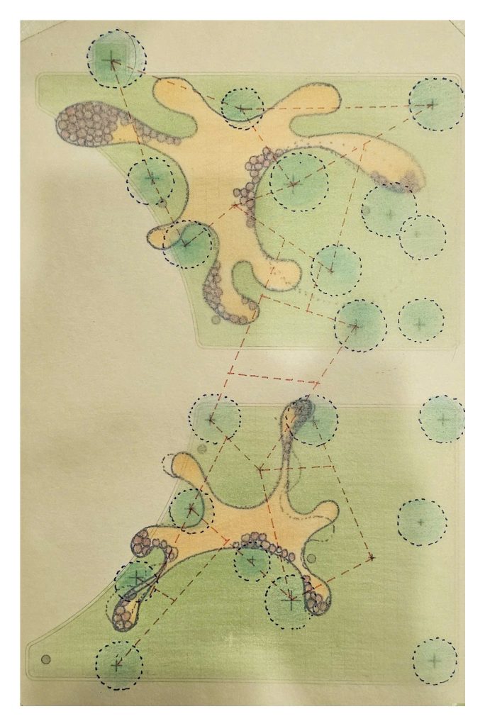 Plan of the deck among the trees