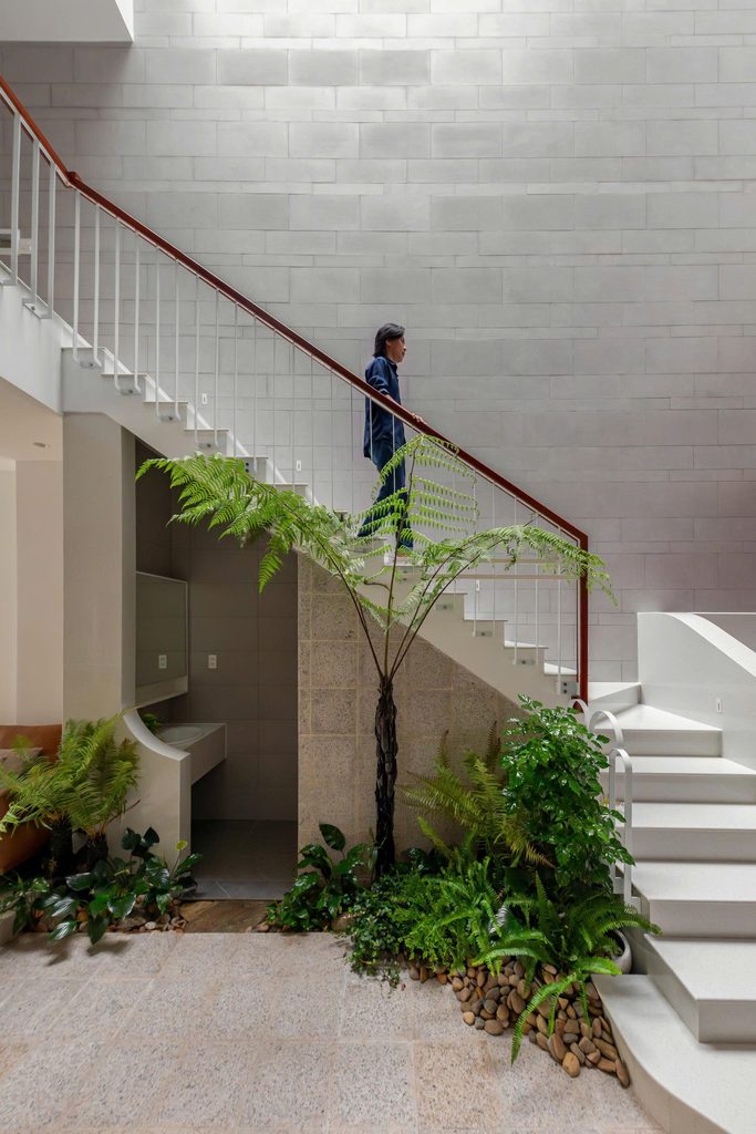 Staircase beside a tree in the internal courtyard