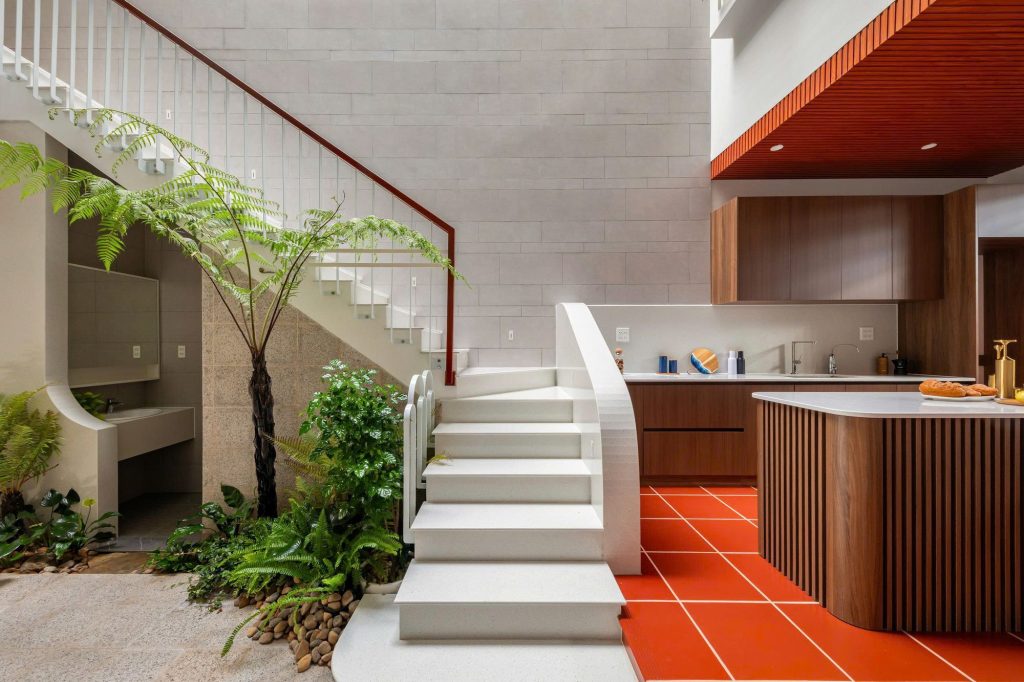 Courtyard tree beside the stair and kitchen island