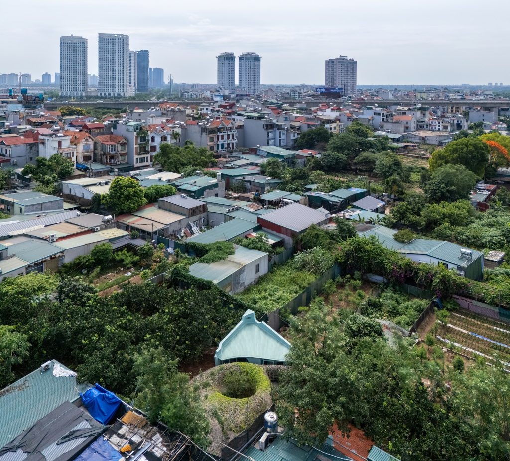 The garden and its woven nest among low houses and distant towers