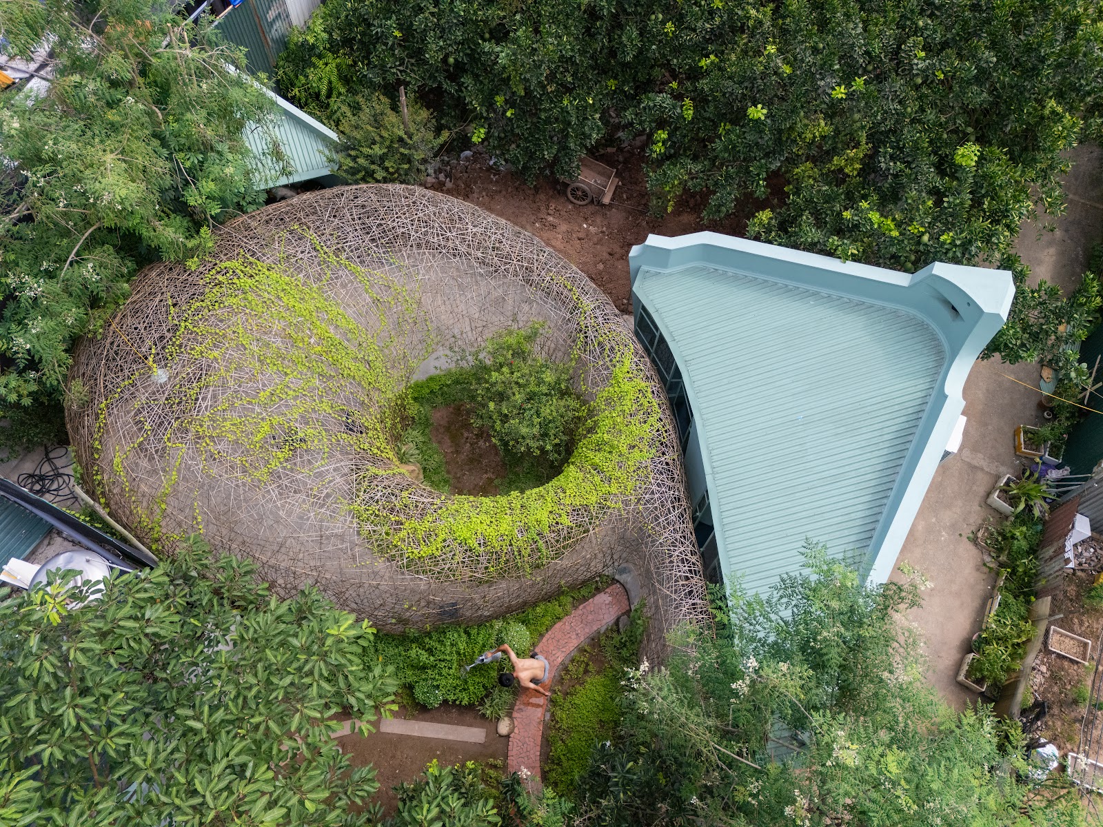 Woven nest with a planted centre beside the green roof