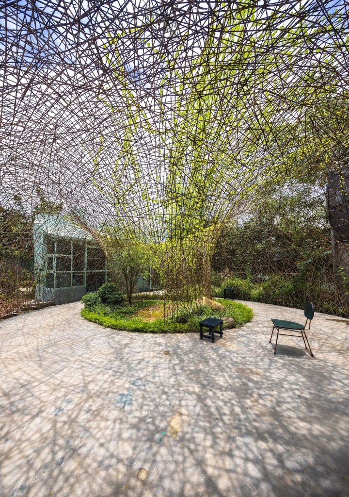 Inside the nest around a grassy island