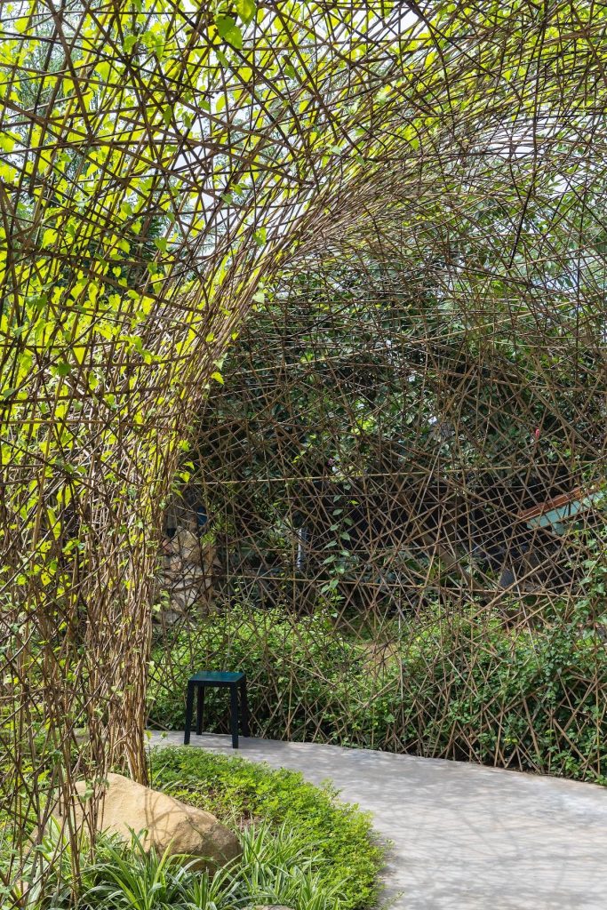 Light filtering through the woven branches