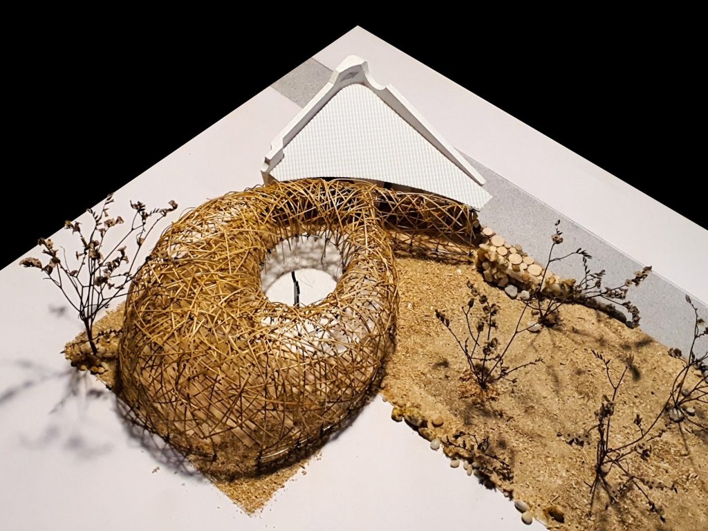 Model of the woven nest