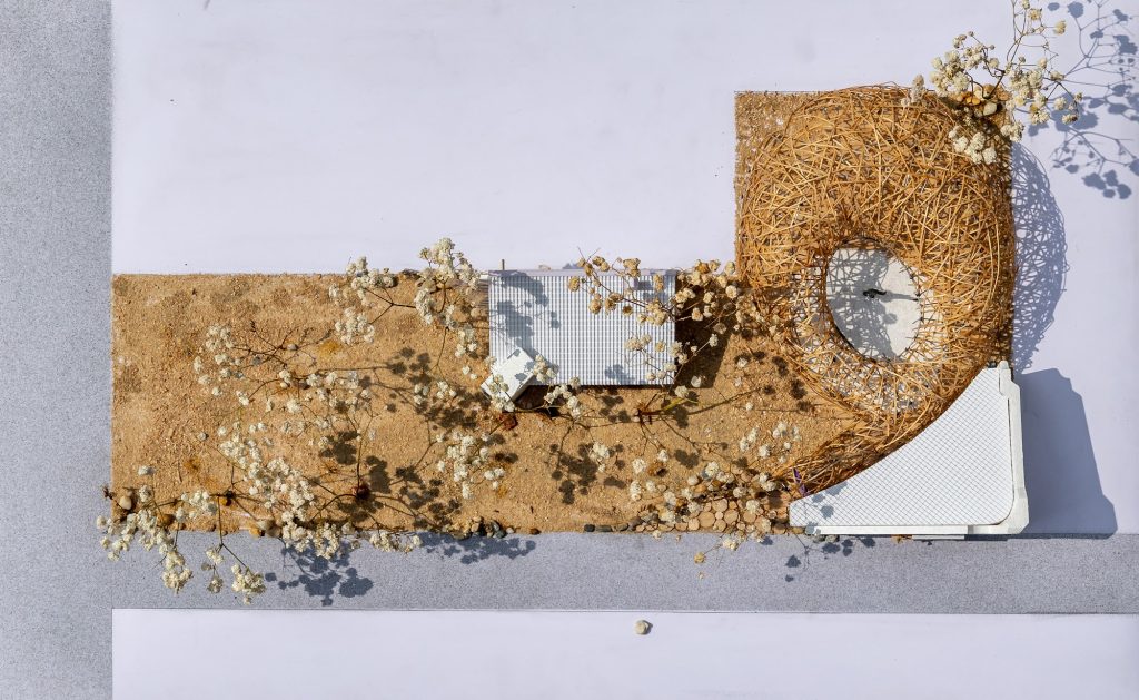 Model seen from above with sand and dried flowers