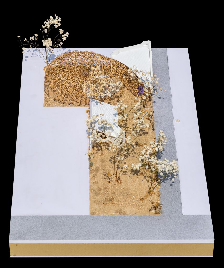 Model of the long plot