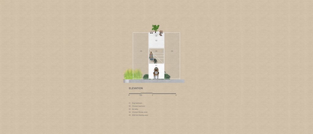 Elevation