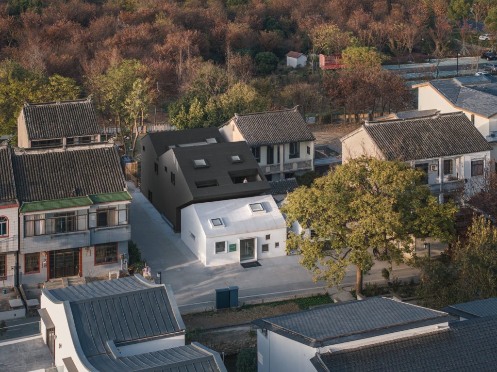 Black and white volumes seen from above among trees