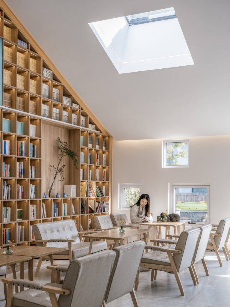 Library shelves rising beneath a skylight