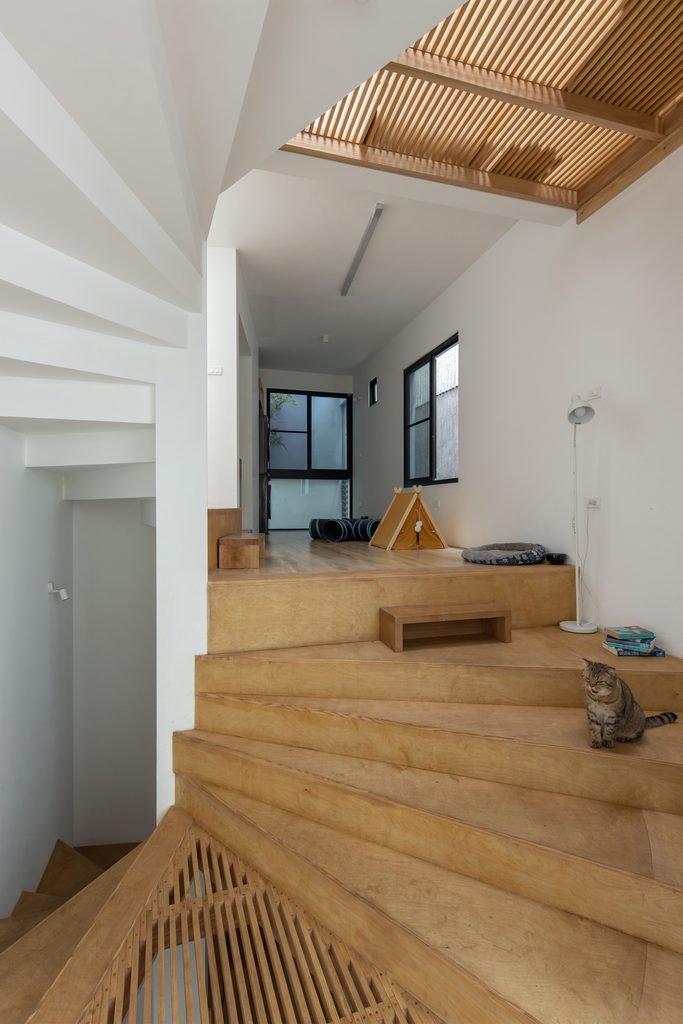 Broad timber stairs beneath the upper floor