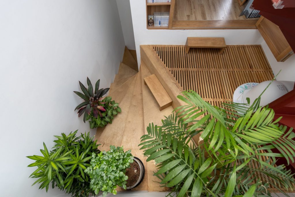 Slatted timber platform beside greenery