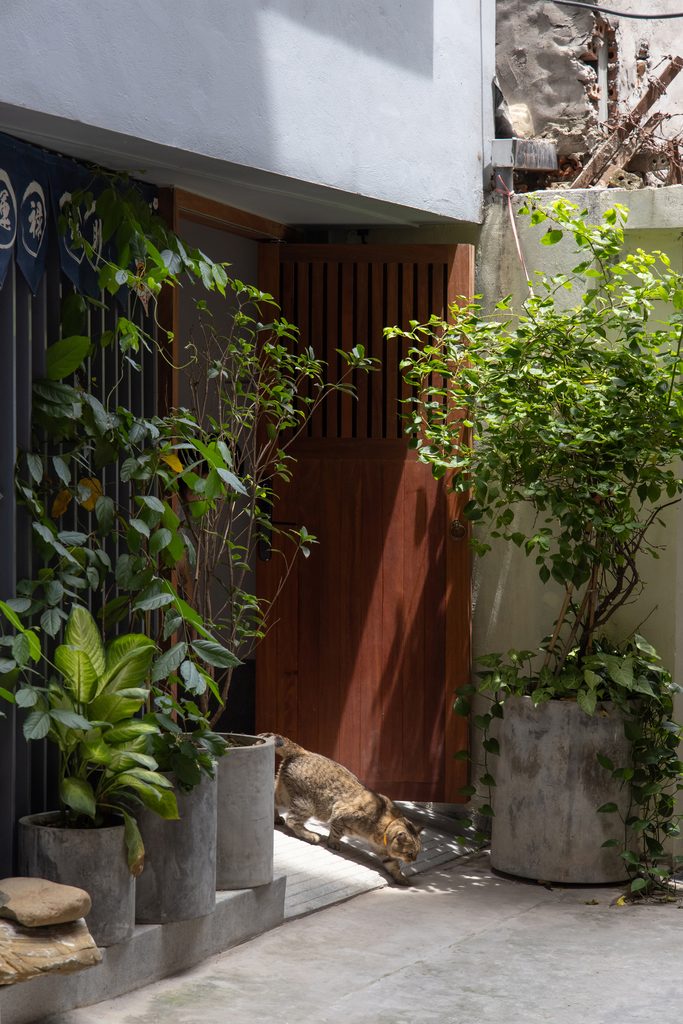 Recessed timber entrance with greenery