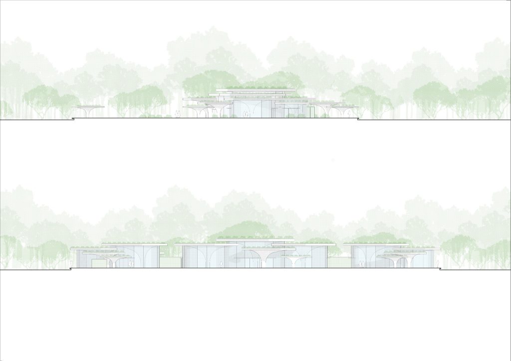 Elevations showing the low roofline under the tree canopy