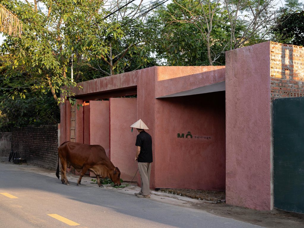 Street front with pink earthen walls along the village lane