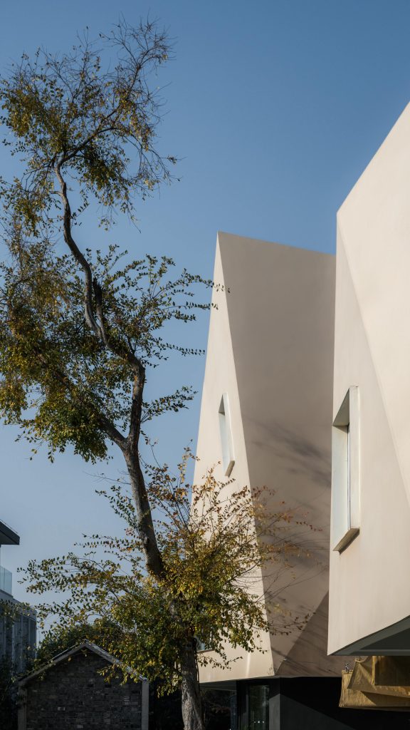 Faceted white wall rising behind a bare tree