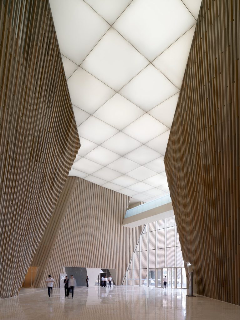 Skylit void in the pedestrian spine