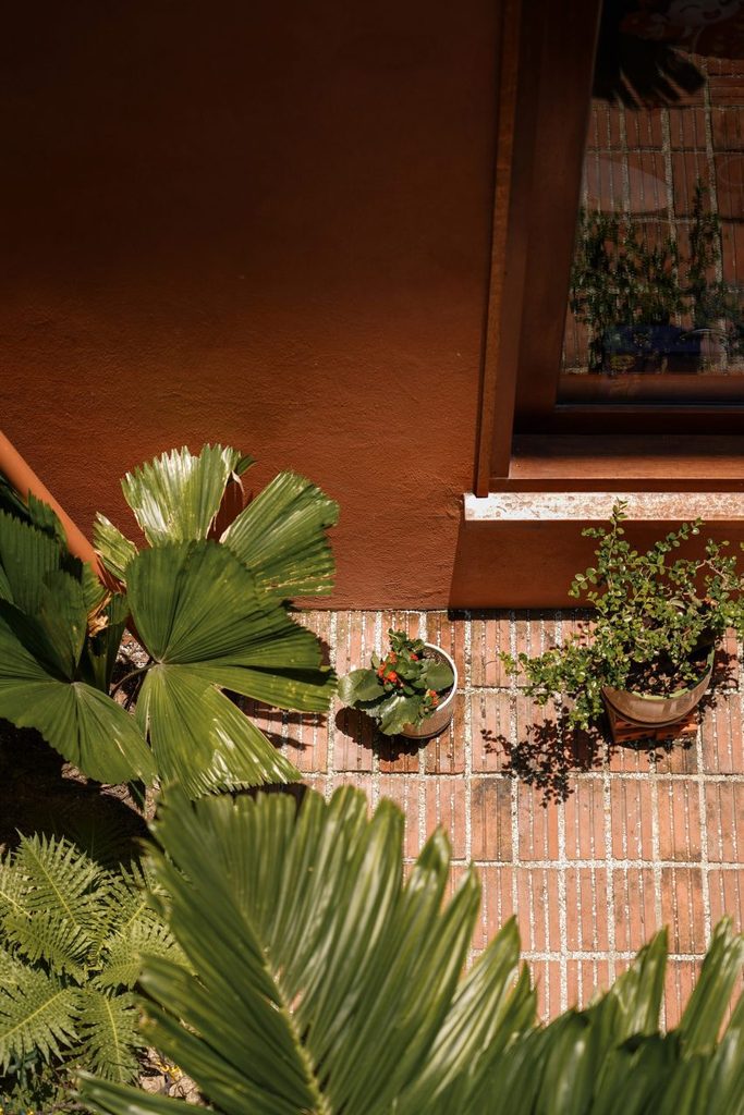 Brick courtyard paving and foliage beside a rendered wall