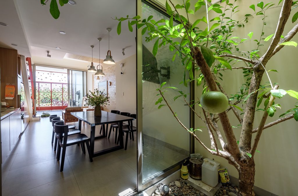 Dining table beside a glass-enclosed courtyard with a mature tree