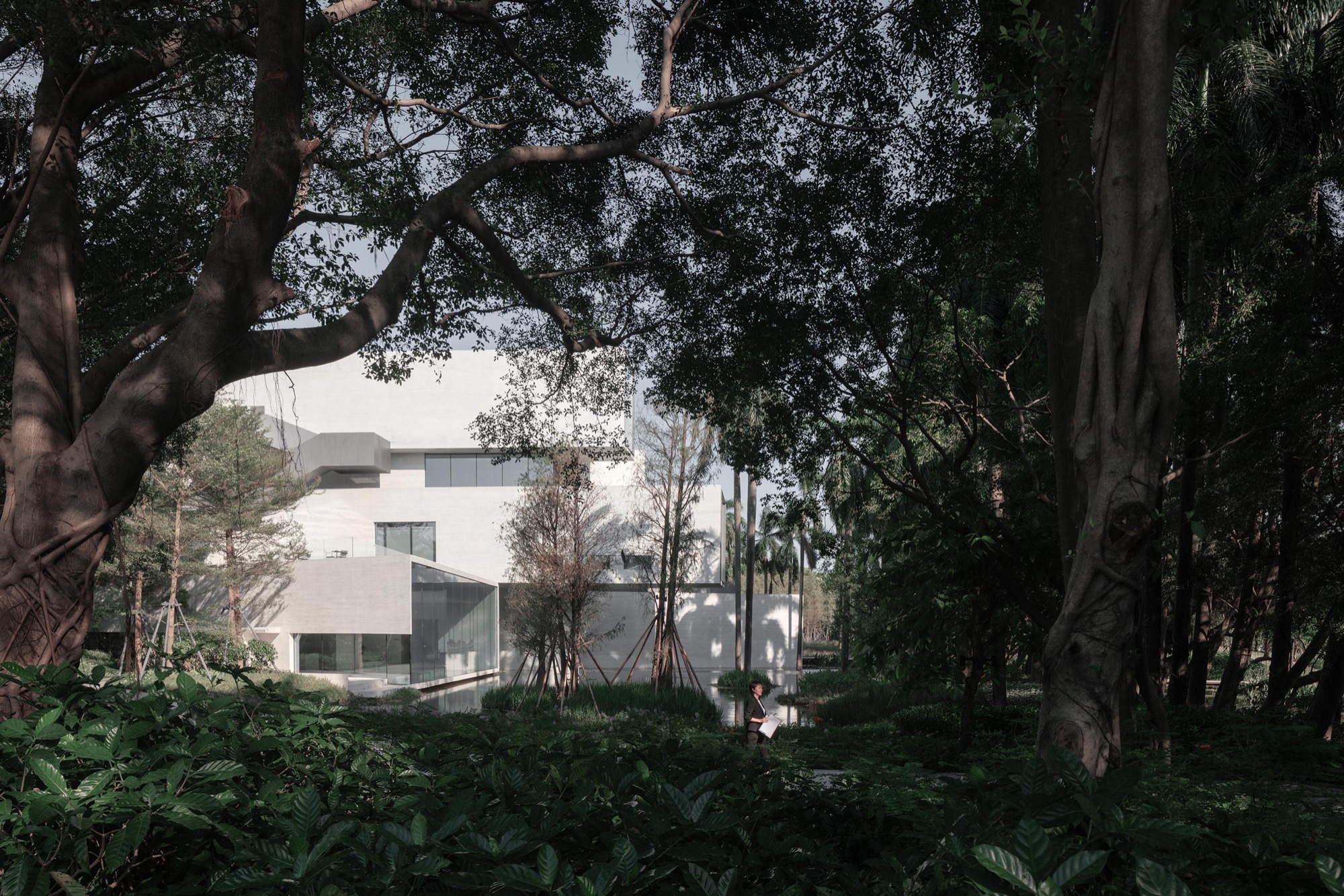 Invisible museum: A disappearing architecture for birds, humans, and the wetland ecosystem