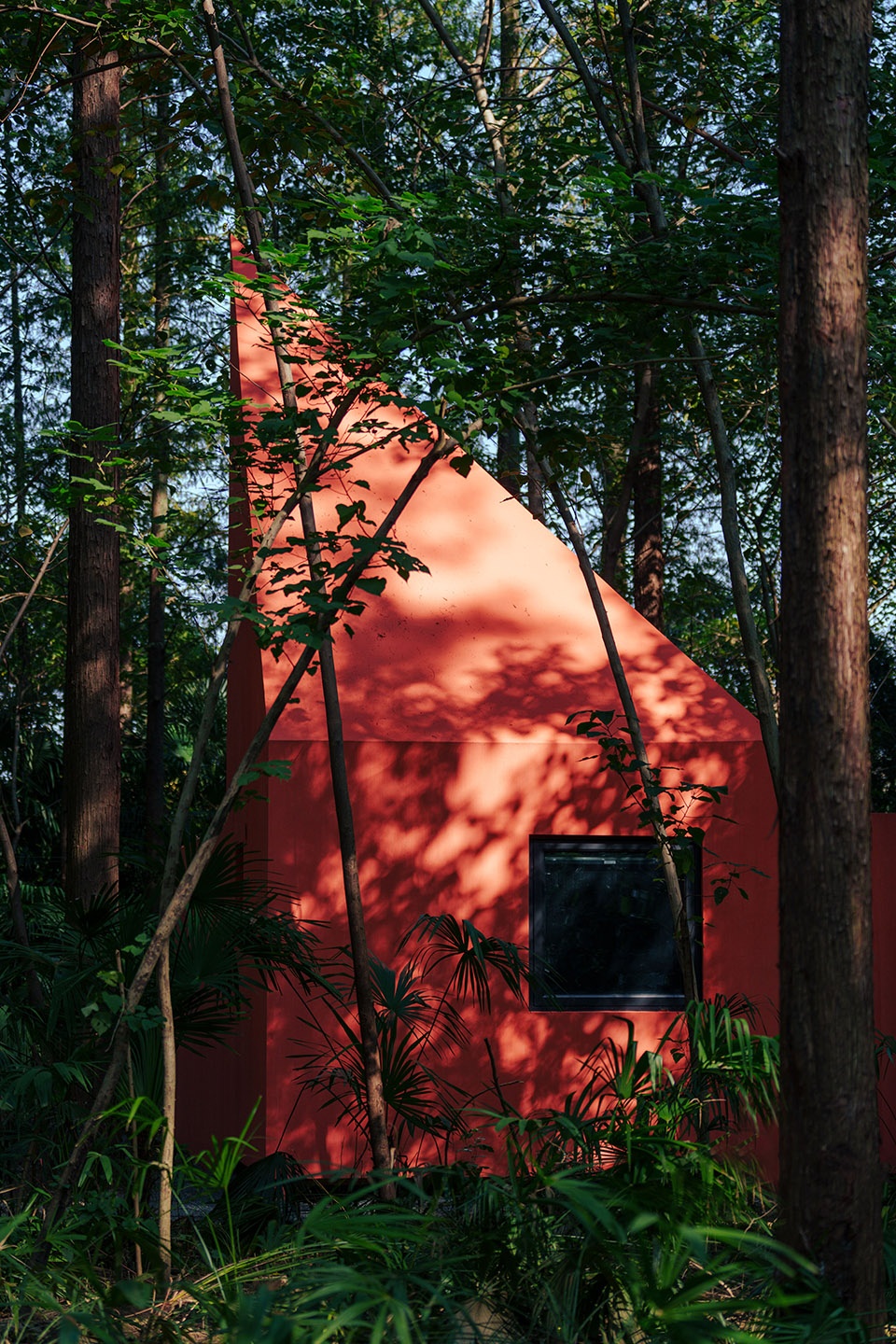 Red Cabin turns a metasequoia forest into a private stage for off grid living