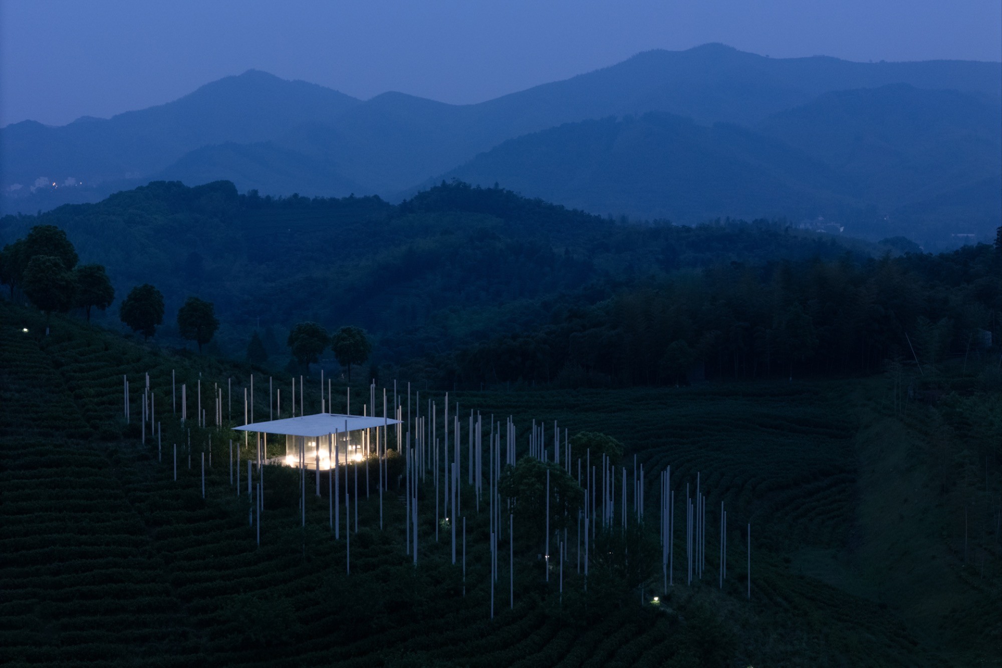 The Cloud tea room floats above Huzhou’s tea fields as a mist driven pavilion
