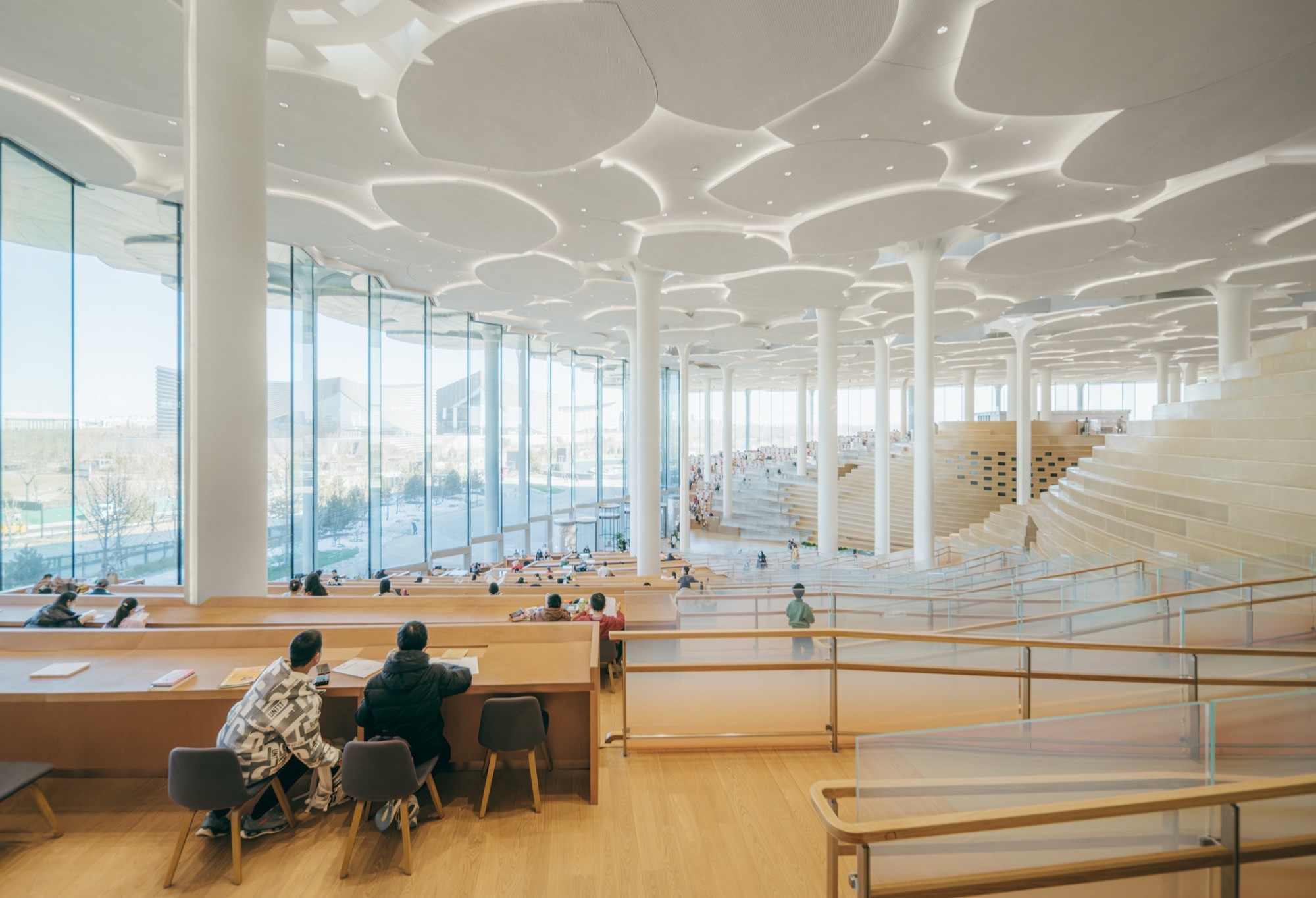 Beijing City Library: Snøhetta builds a reading landscape under a canopy of ginkgo light