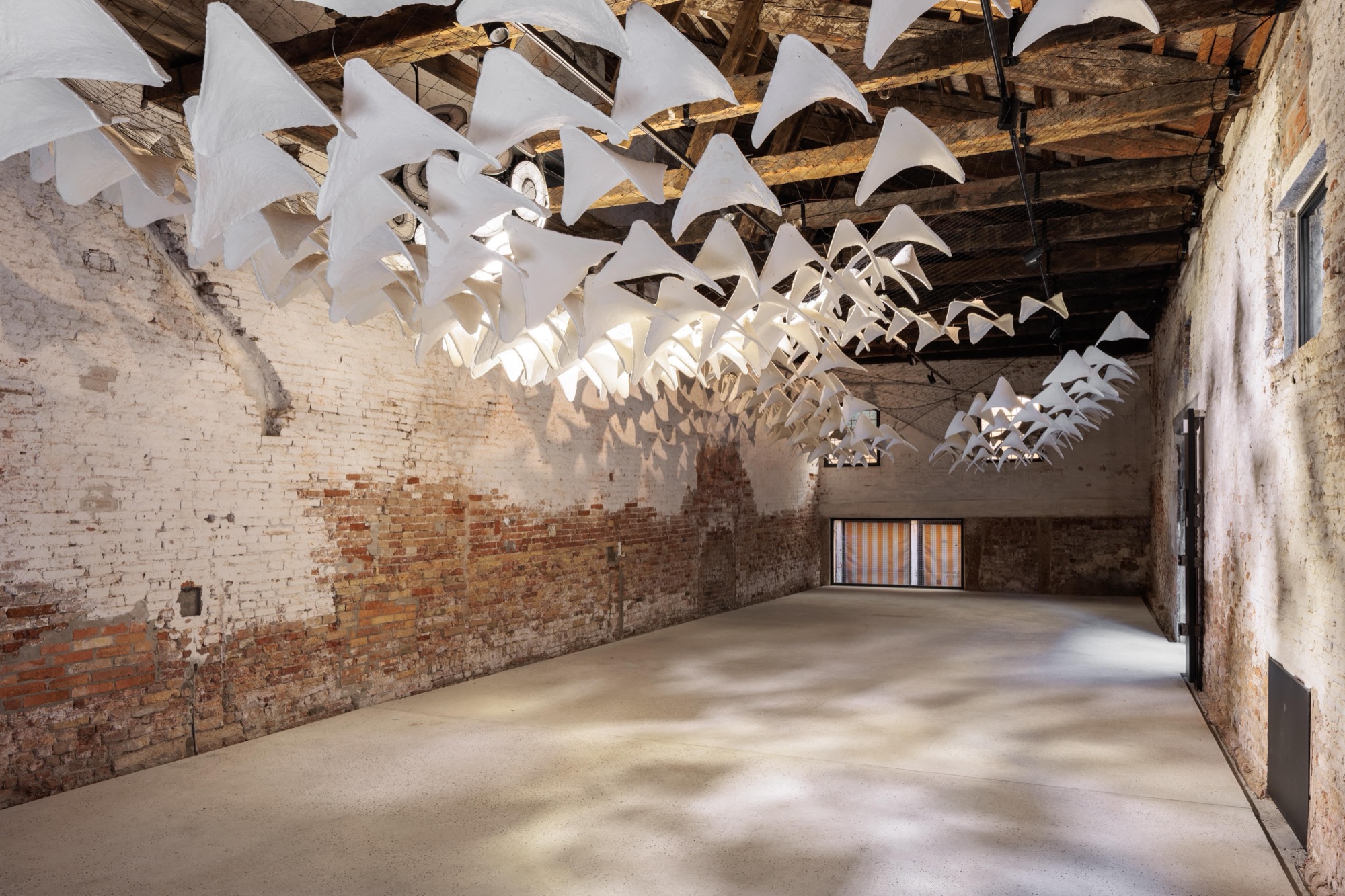 Flight into Shadow: Light as a climatic experience