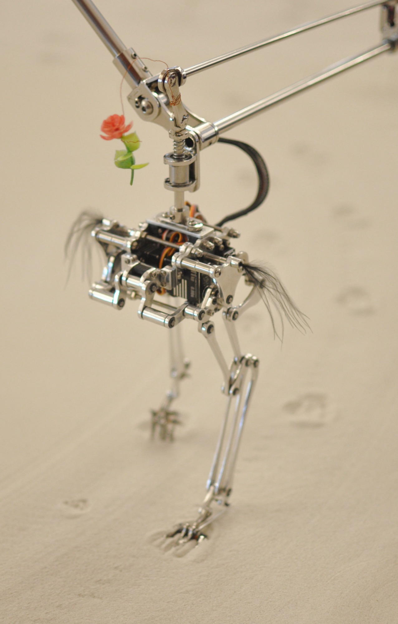 UJOO+LIMHEEYOUNG creates kinetic installation that erases its own bird tracks