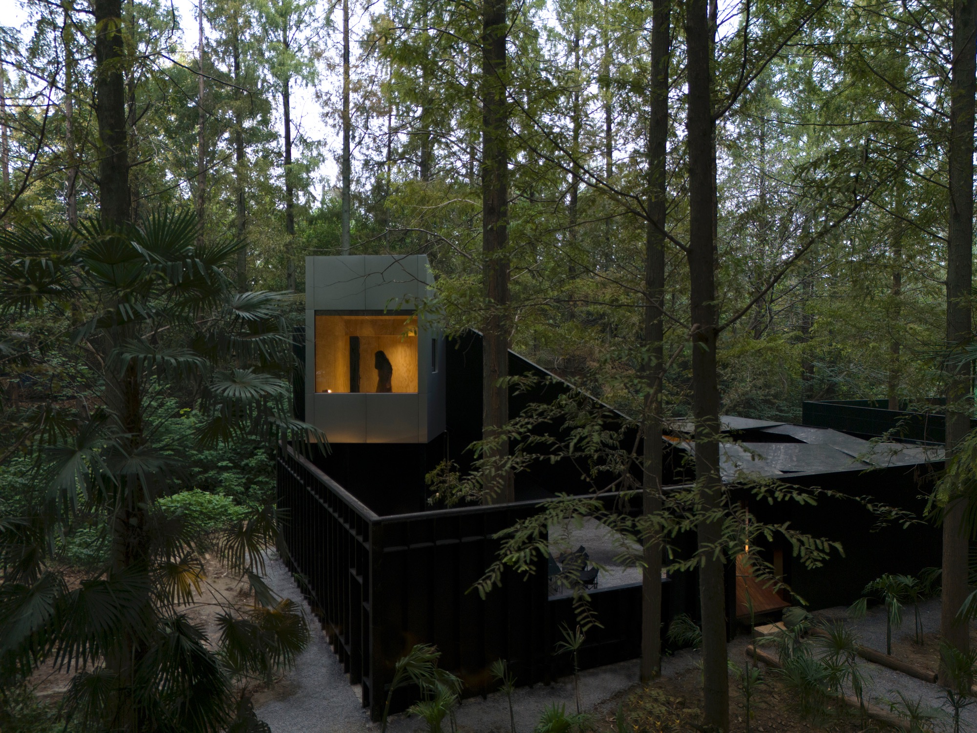 Playtime Cabin turns a forest in Wuhan into a liveable playground
