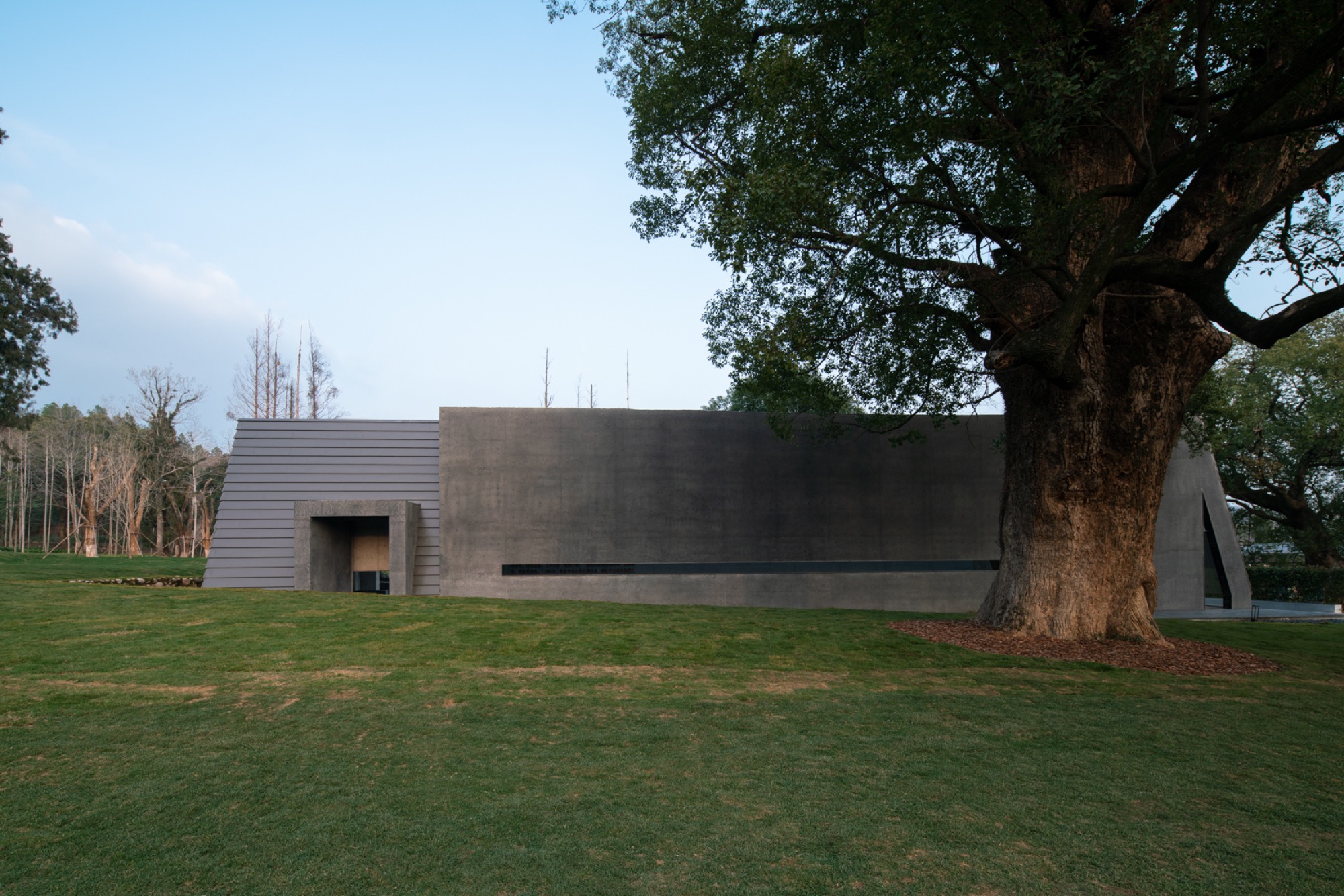 y.ad studio wraps Ink Wash Pool around ancient tree in China