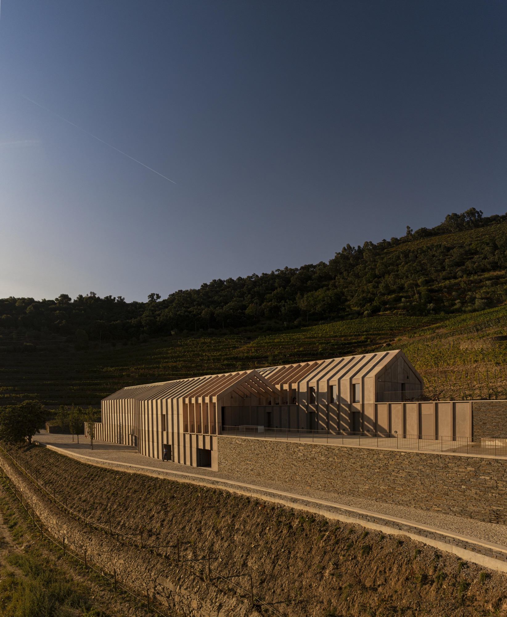 Atelier Sérgio Rebelo nestles timber winery into Portugal’s Douro Valley