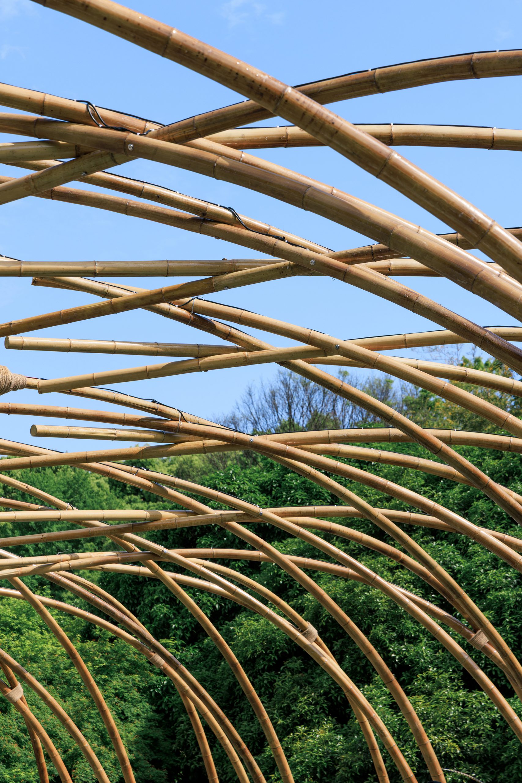 Overlapping bamboo arcs forming the Bent by Spring canopy
