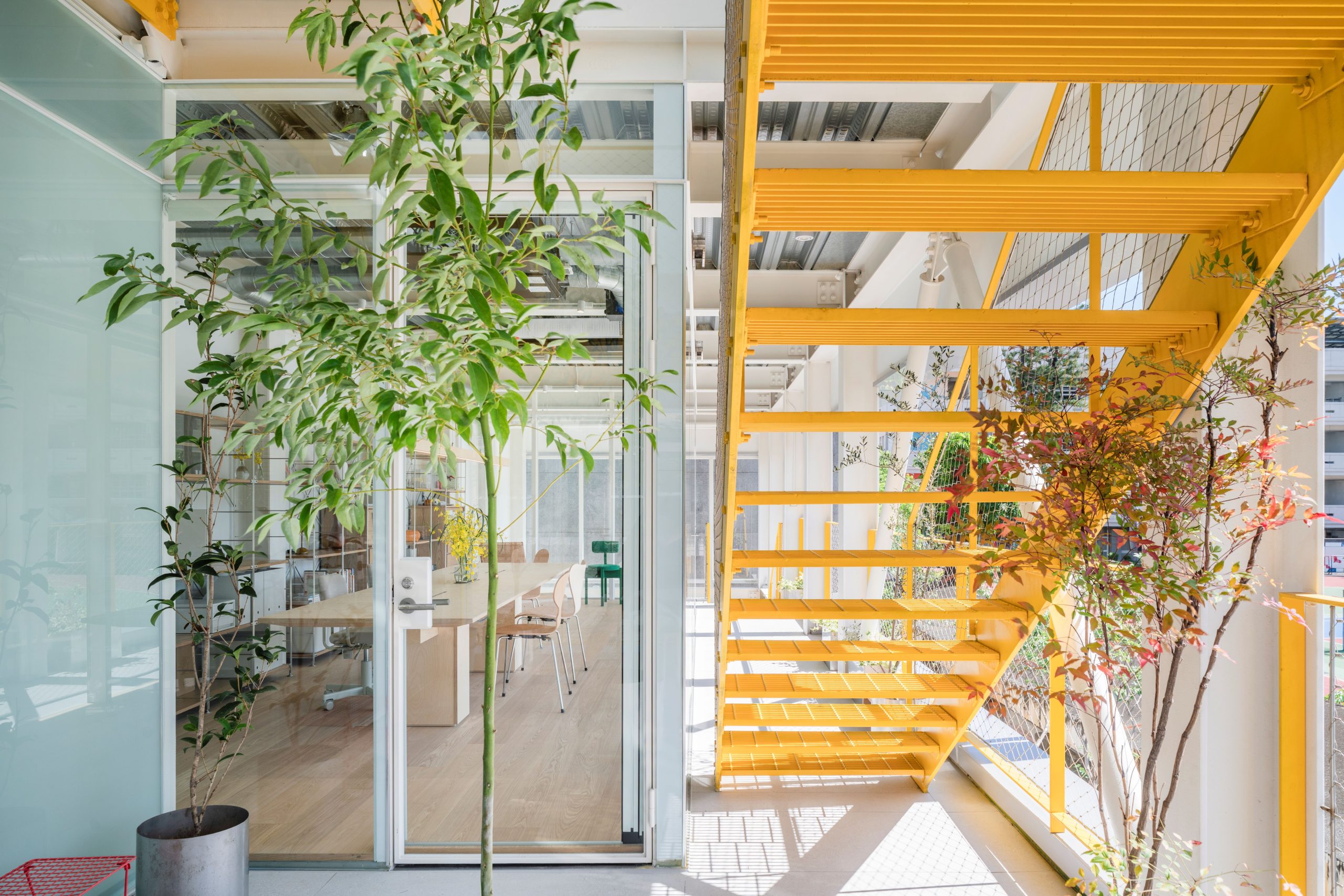 Yellow stair and planted internal garden at MOM House