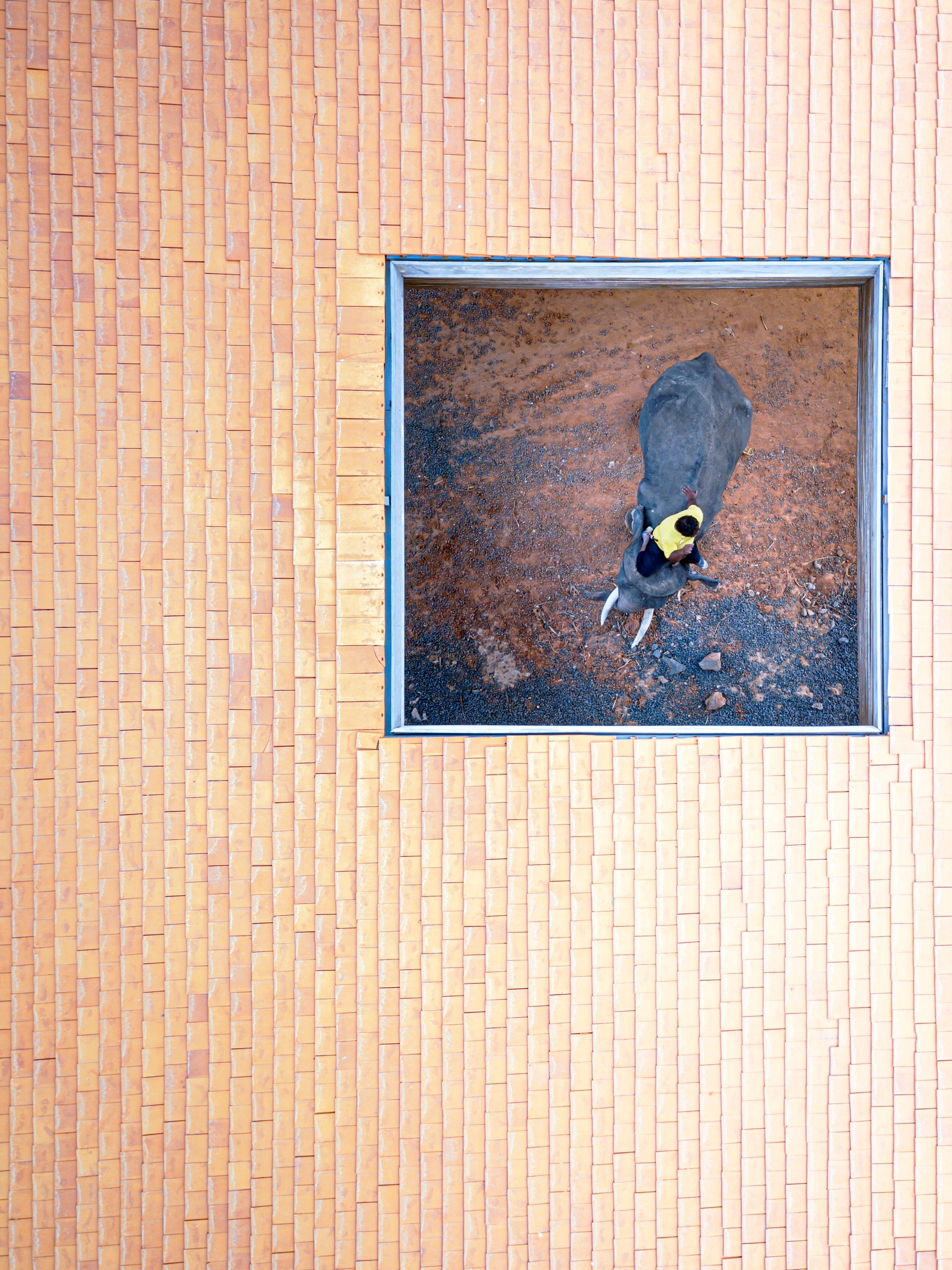 Wood lined roof of Cultural Courtyard