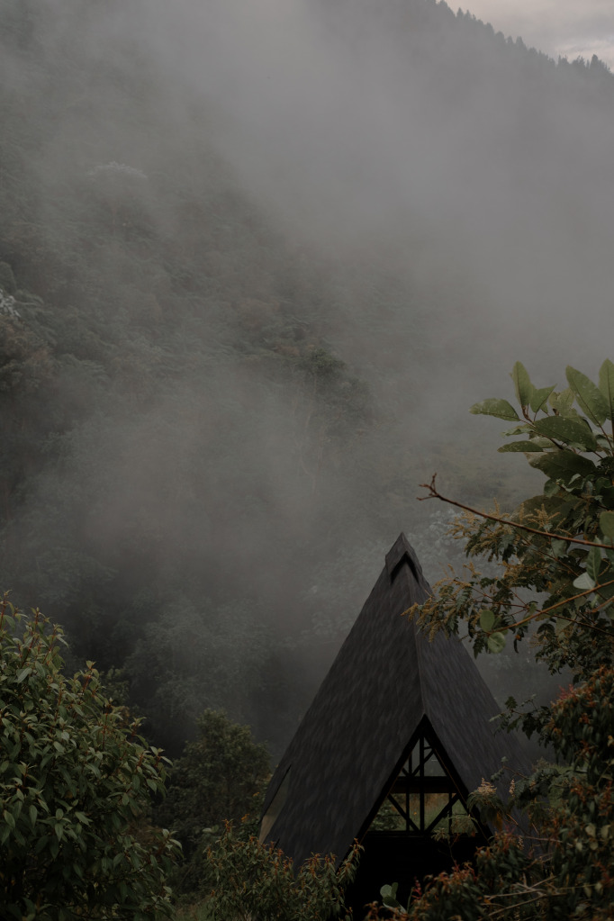 Bird Forest shelter in Water Stories, Villa María, Colombia