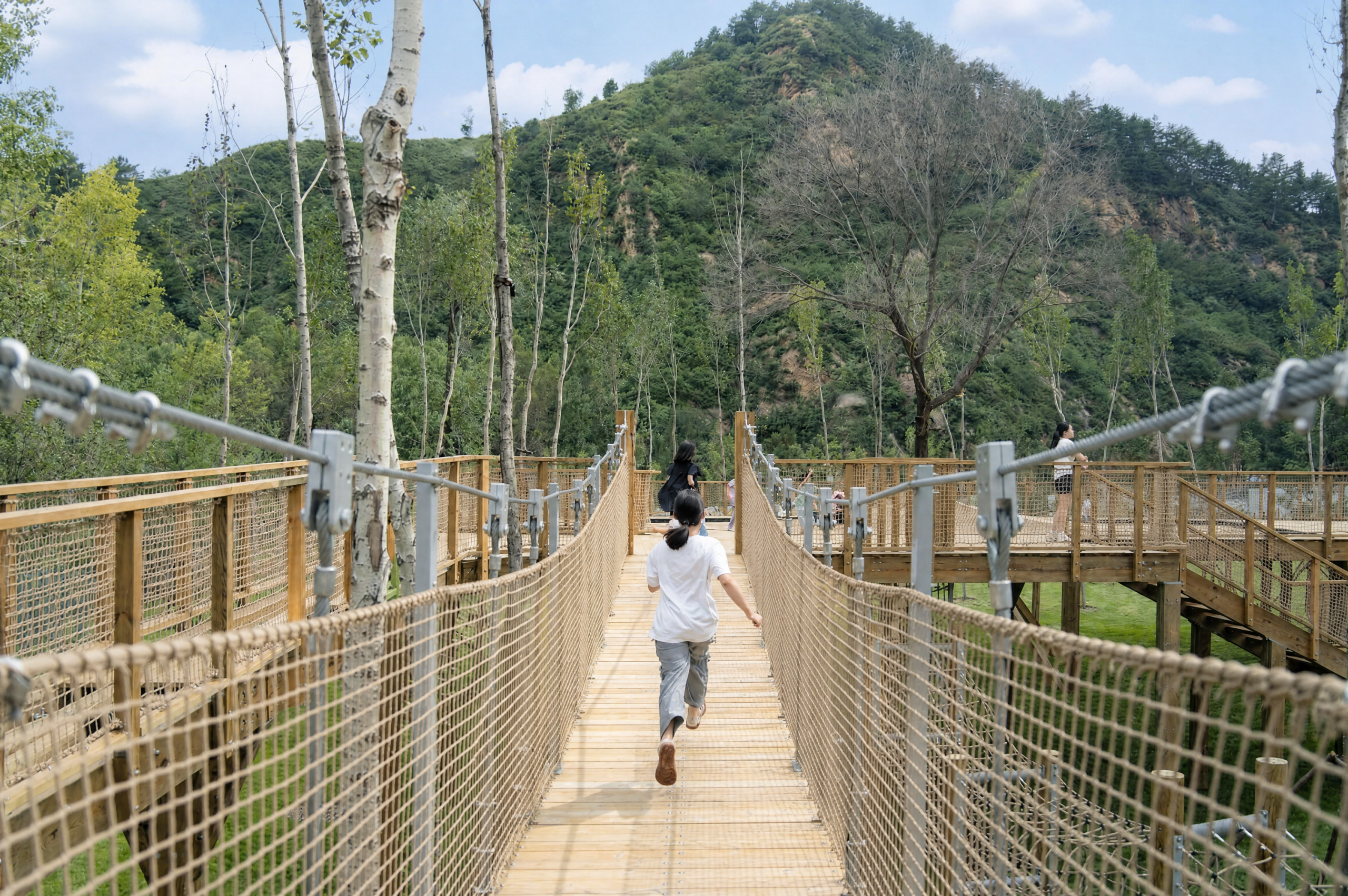 Suspension bridge through the forest at Forest Delight children’s camp
