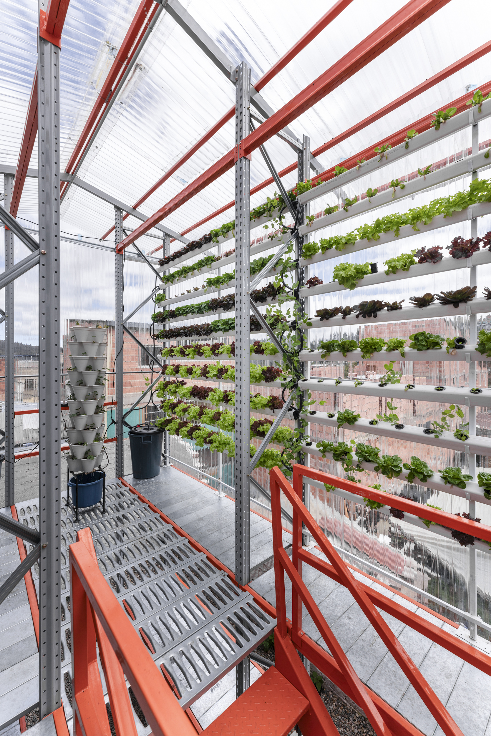 Plants growing vertically in the Hydroponics Module by Alsar Atelier