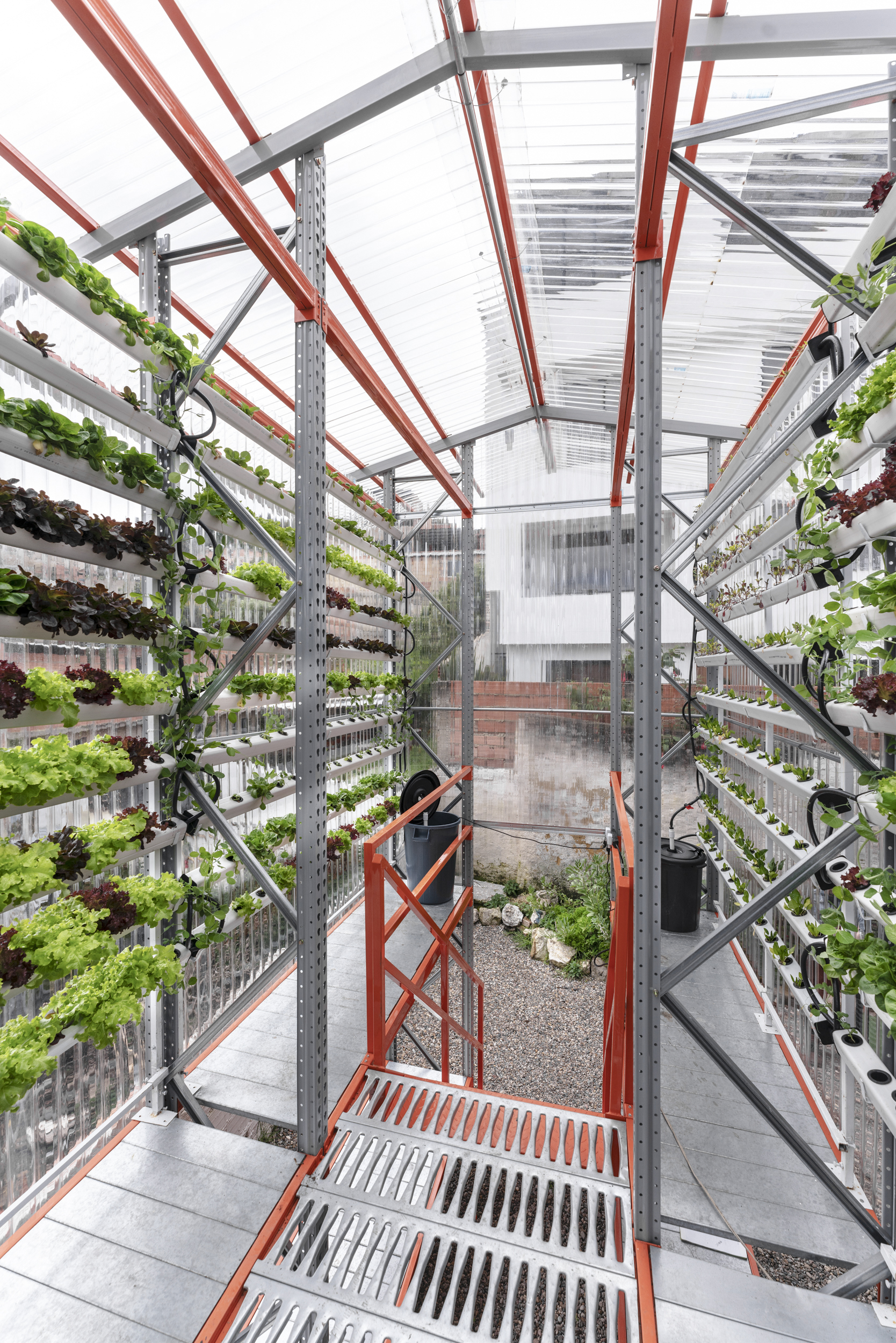 Interior of the reusable hydroponics structure in San Luis, Bogota