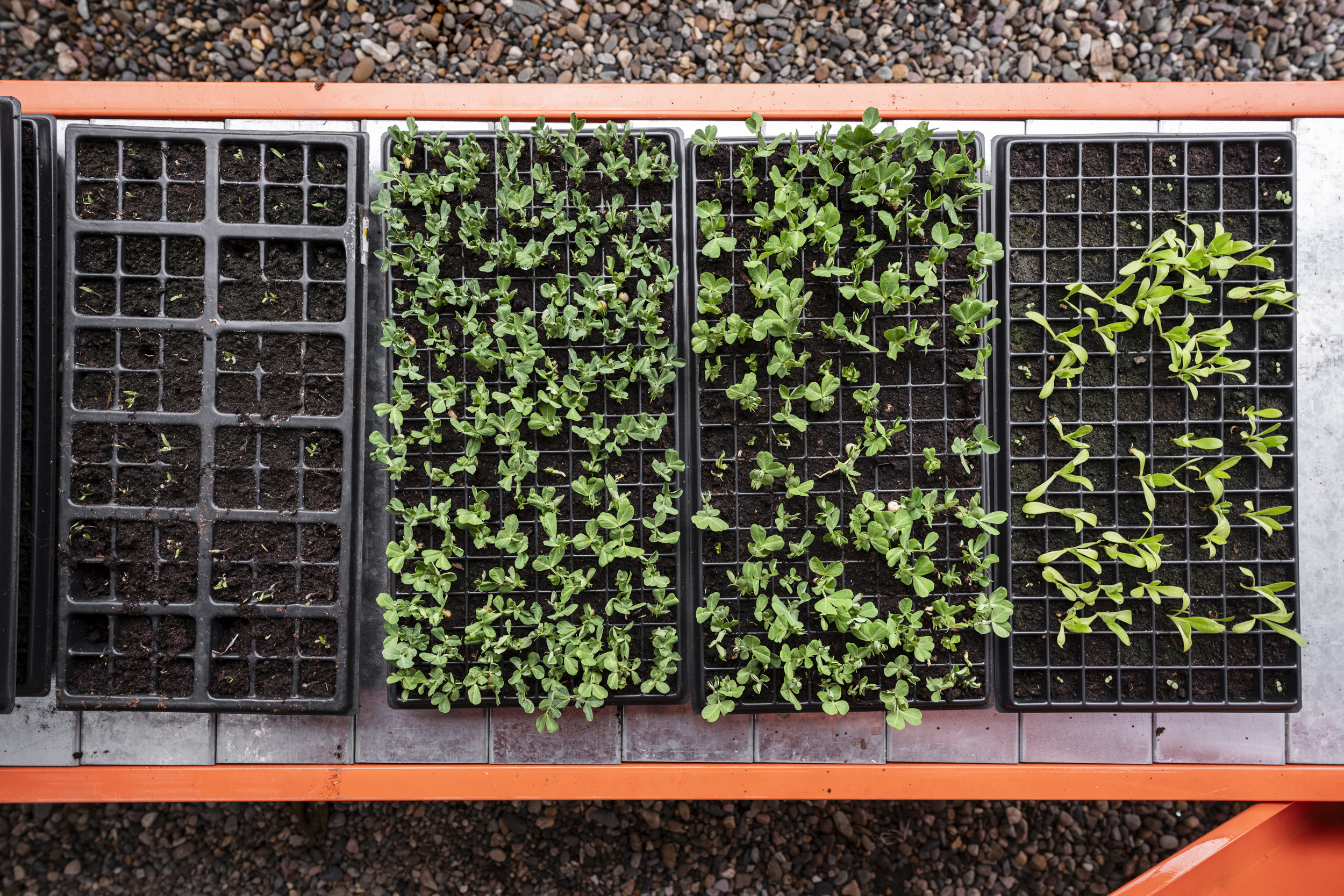 Community members using the Hydroponics Module in Bogota