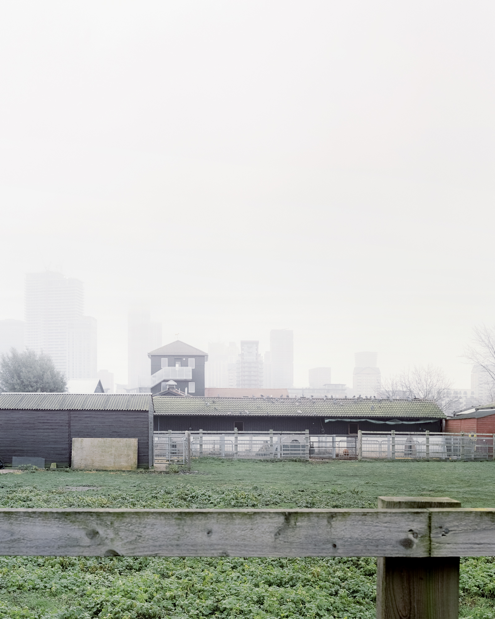 Rear view of Surrey Docks Farm by Pup Architects. Photo by Simone Bossi.