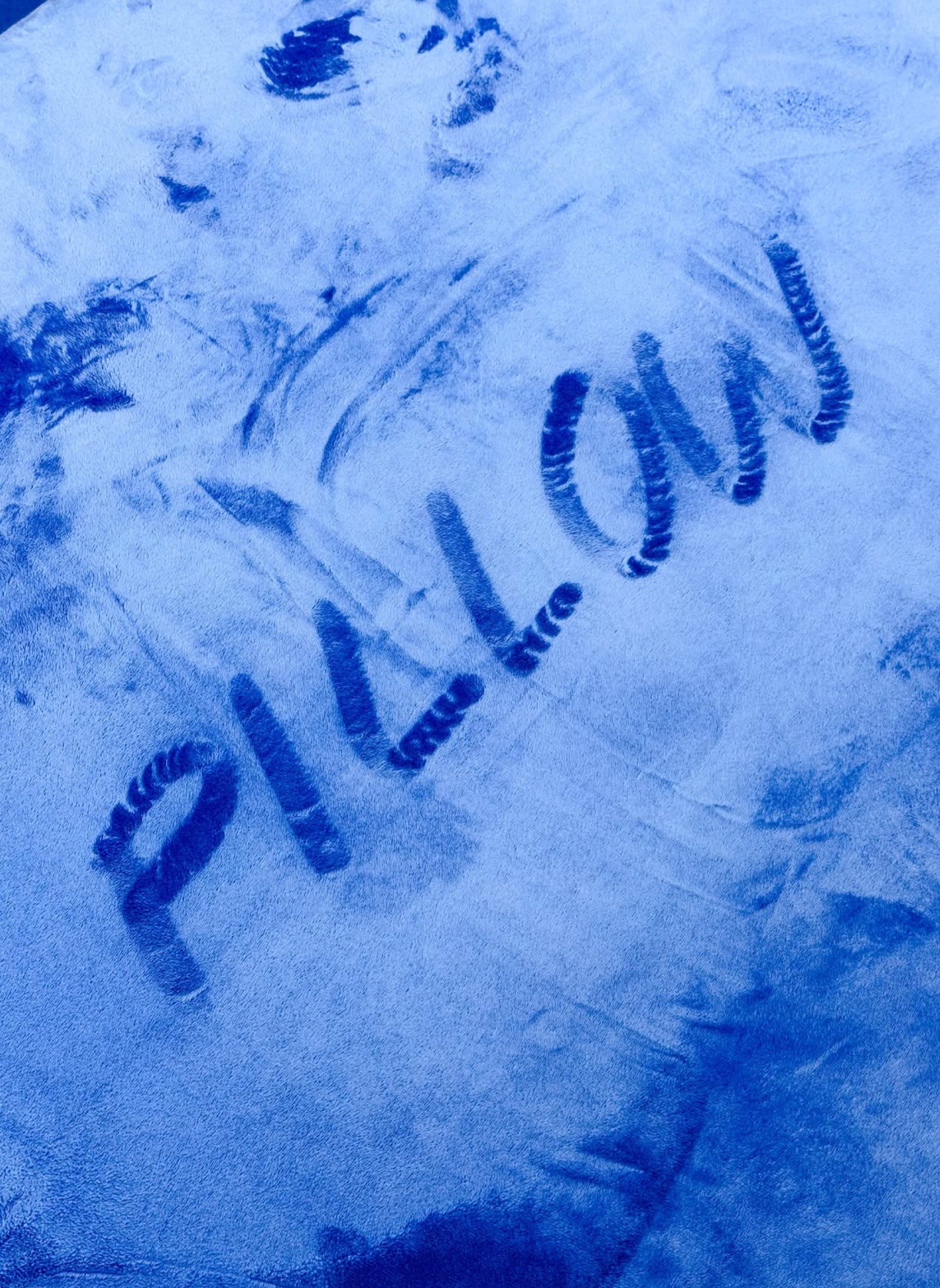 Deep-blue interior of PiLLOW by HOMMES.HOM.