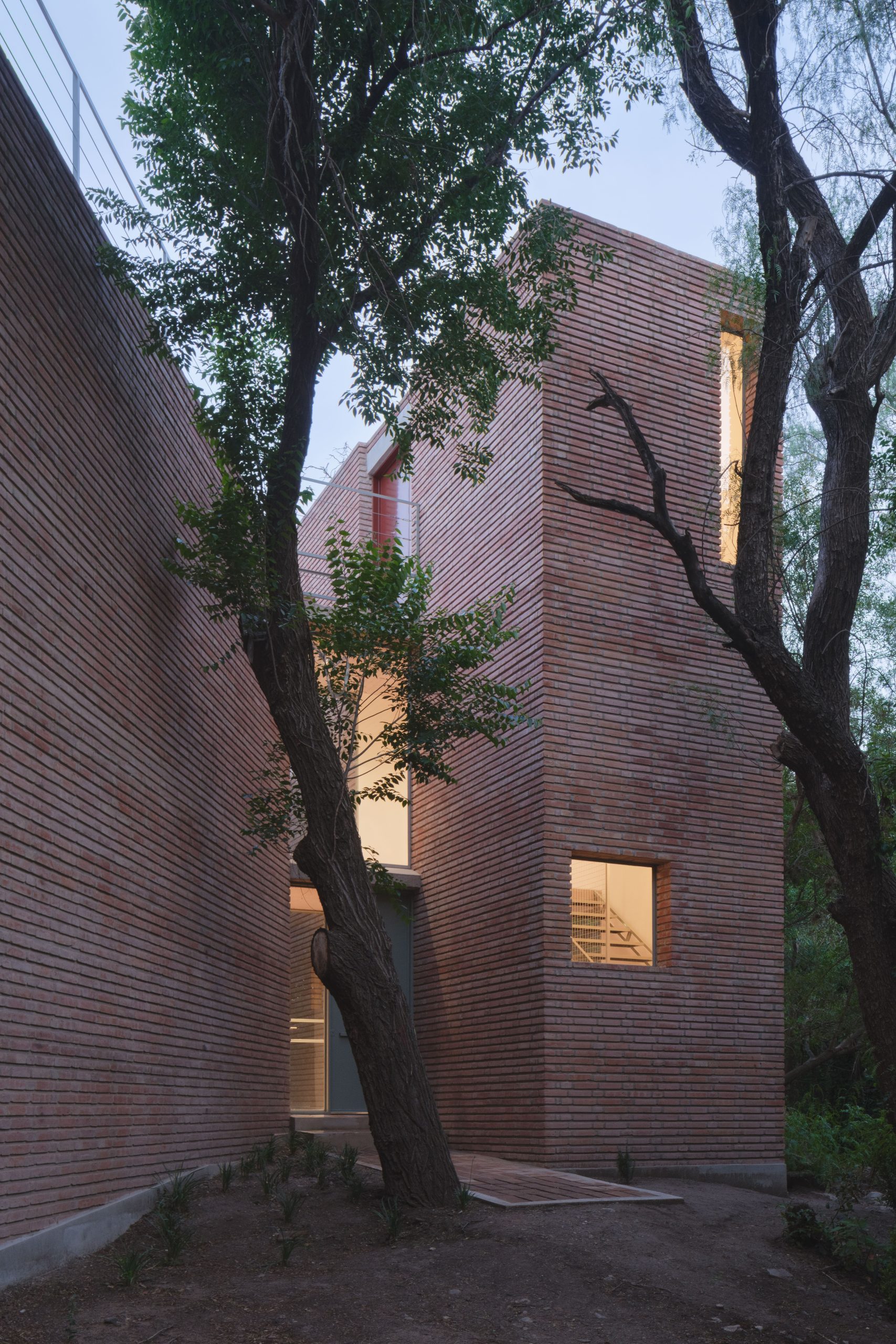Atelier Cambre framed by the forest in Córdoba