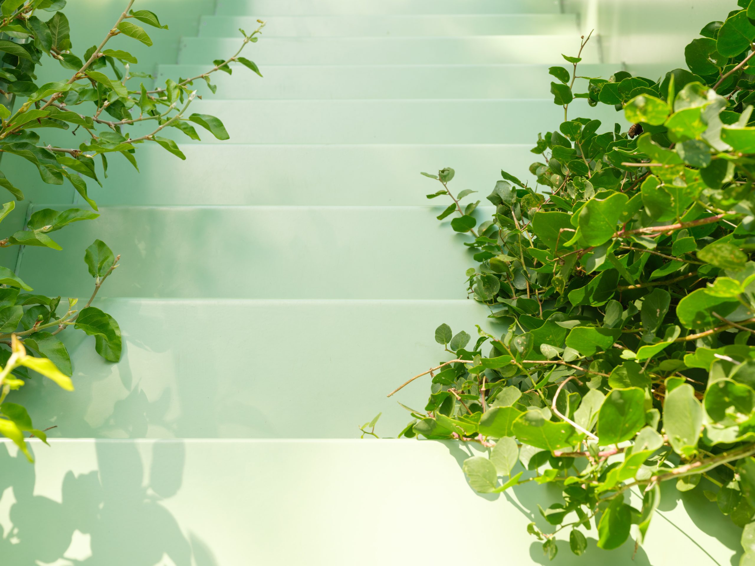 Sculptural pistachio-green stair rising through the garden