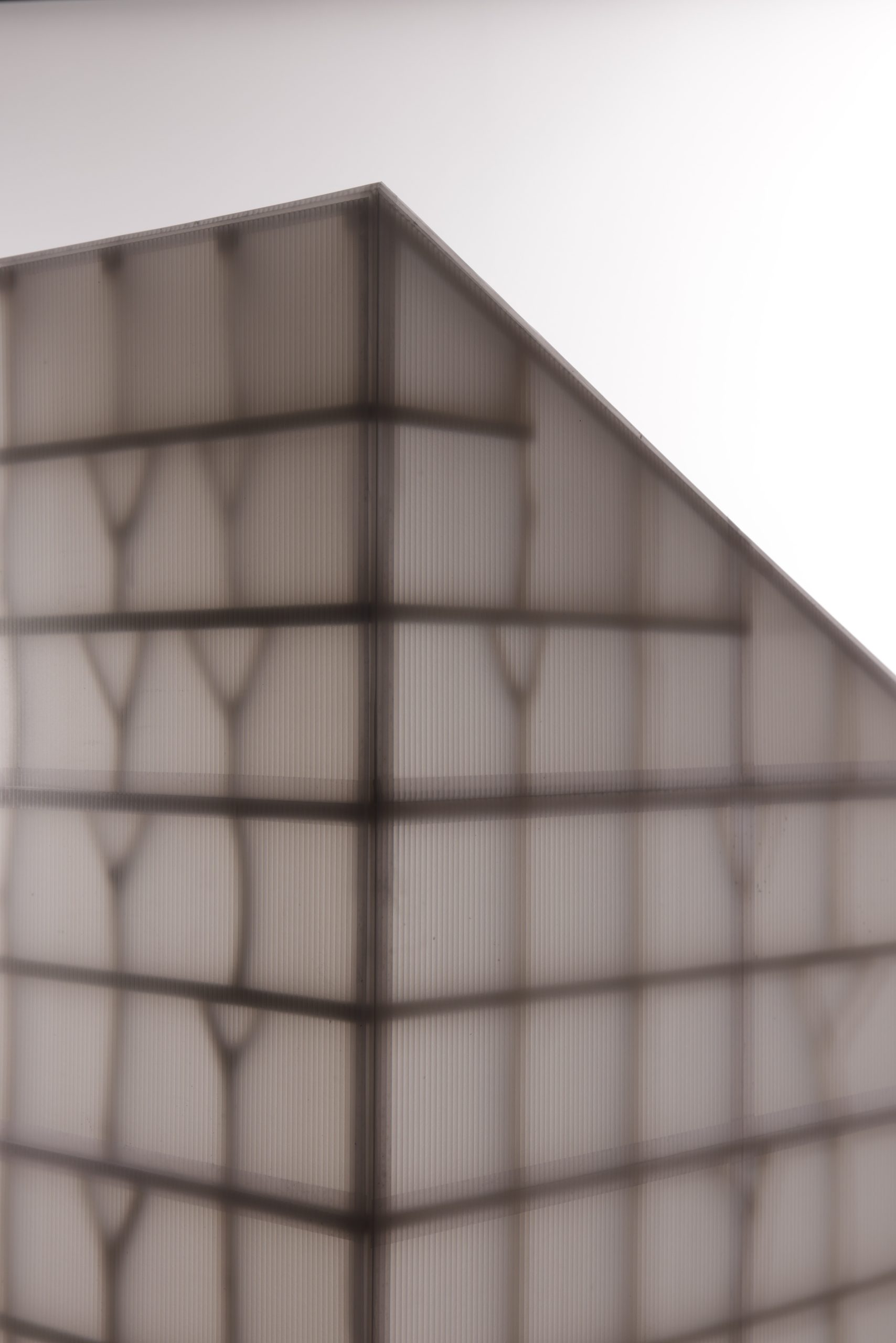Irregular crown timber elements studied for the Re-Jig construction system