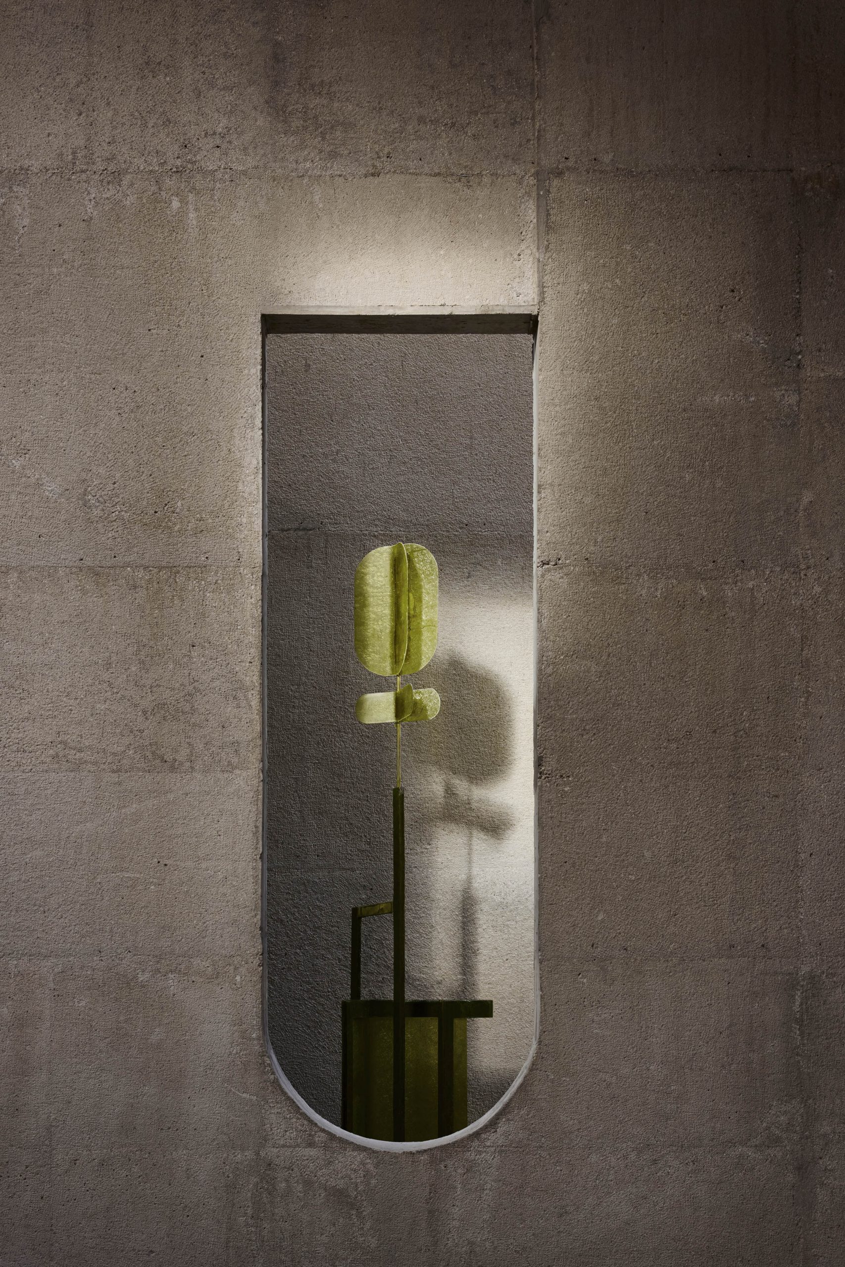 Cactus displayed in a rounded wall niche at Casa Ínsula